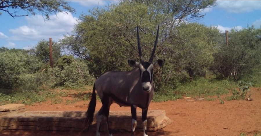 6 Bedroom Property for Sale in Tom Burke Limpopo