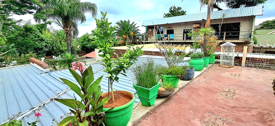 12 Bedroom Property for Sale in Bendor Limpopo