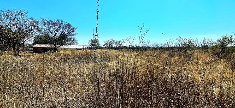 0 Bedroom Property for Sale in Ivydale A H Limpopo