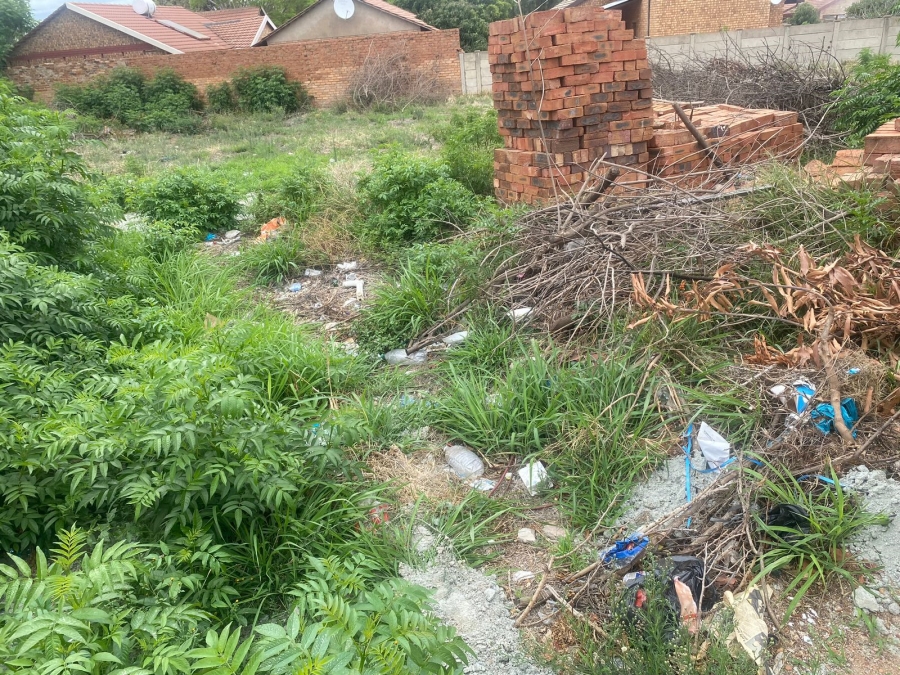 0 Bedroom Property for Sale in Flora Park Limpopo