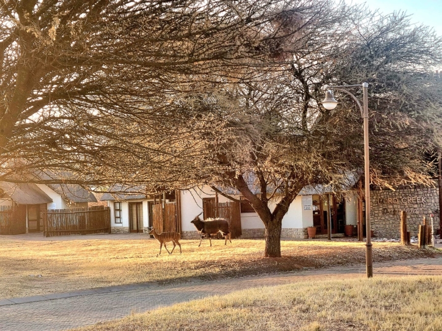 4 Bedroom Property for Sale in Koro Creek Golf Estate Limpopo