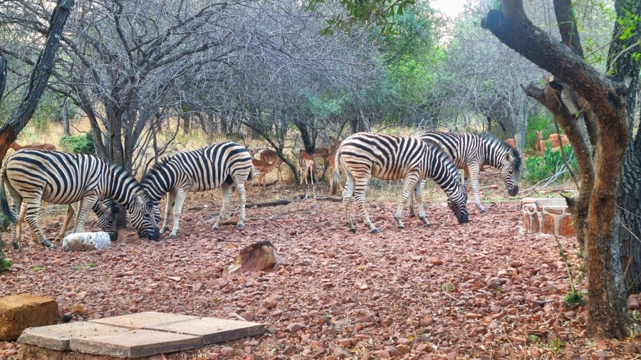 4 Bedroom Property for Sale in Koro Creek Golf Estate Limpopo