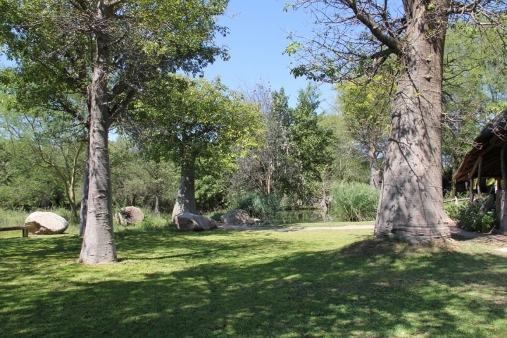 19 Bedroom Property for Sale in Musina Limpopo