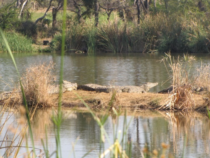 19 Bedroom Property for Sale in Musina Limpopo