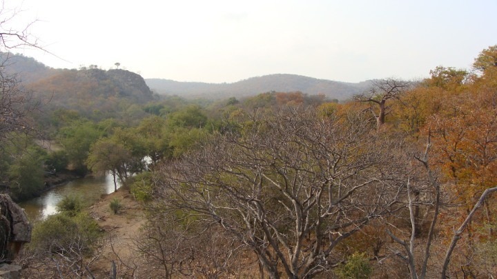 19 Bedroom Property for Sale in Musina Limpopo