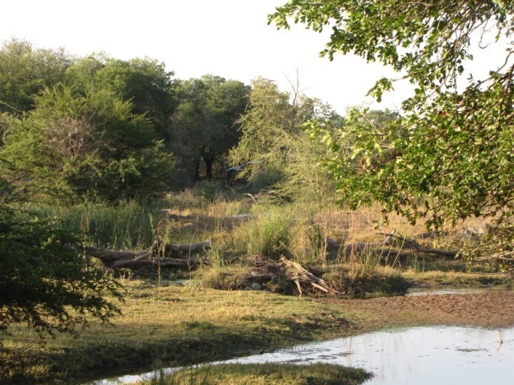 19 Bedroom Property for Sale in Musina Limpopo