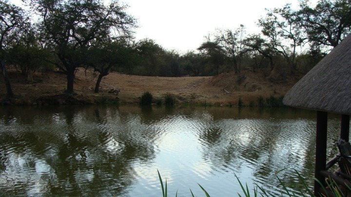 19 Bedroom Property for Sale in Musina Limpopo