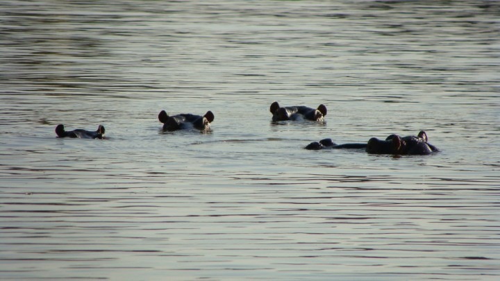 19 Bedroom Property for Sale in Musina Limpopo