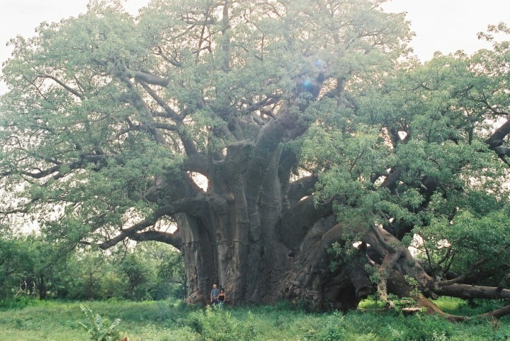 19 Bedroom Property for Sale in Musina Limpopo