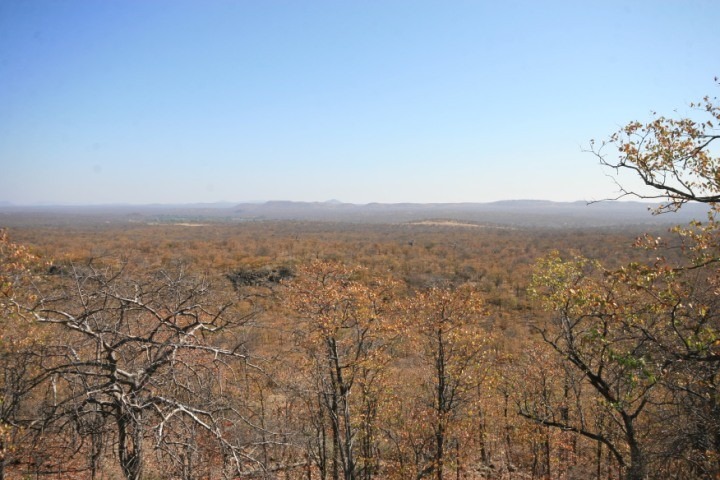 19 Bedroom Property for Sale in Musina Limpopo