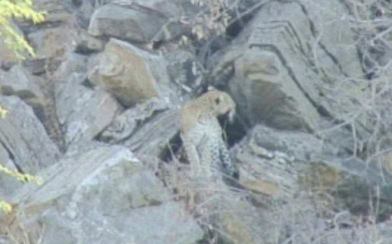 19 Bedroom Property for Sale in Musina Limpopo