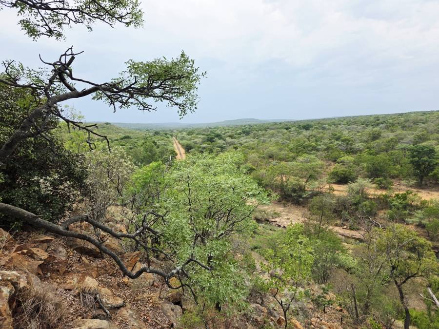 18 Bedroom Property for Sale in Vaalwater Limpopo