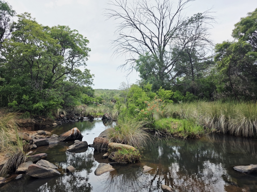 18 Bedroom Property for Sale in Vaalwater Limpopo