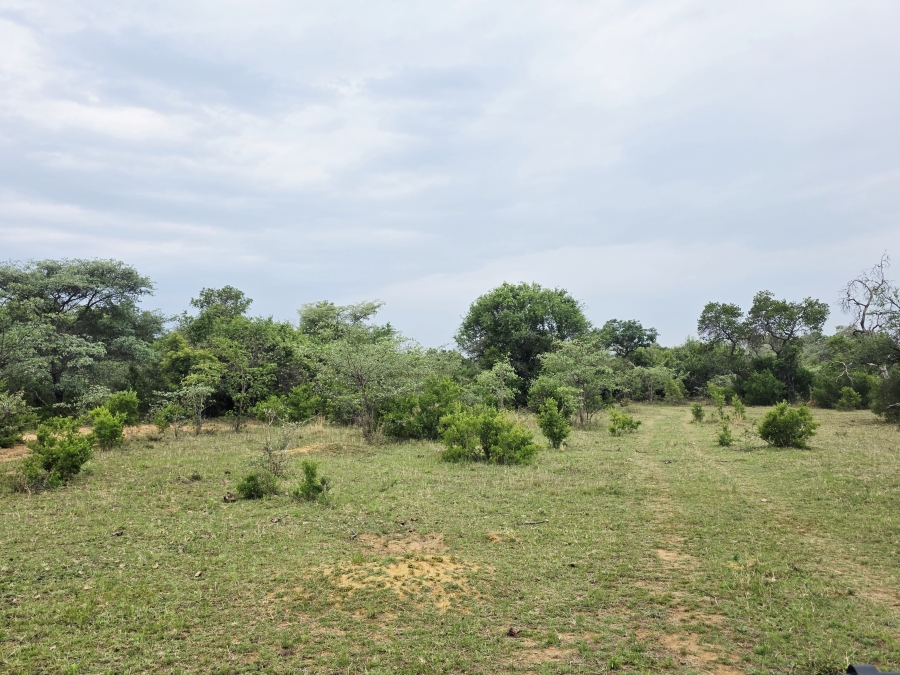 18 Bedroom Property for Sale in Vaalwater Limpopo