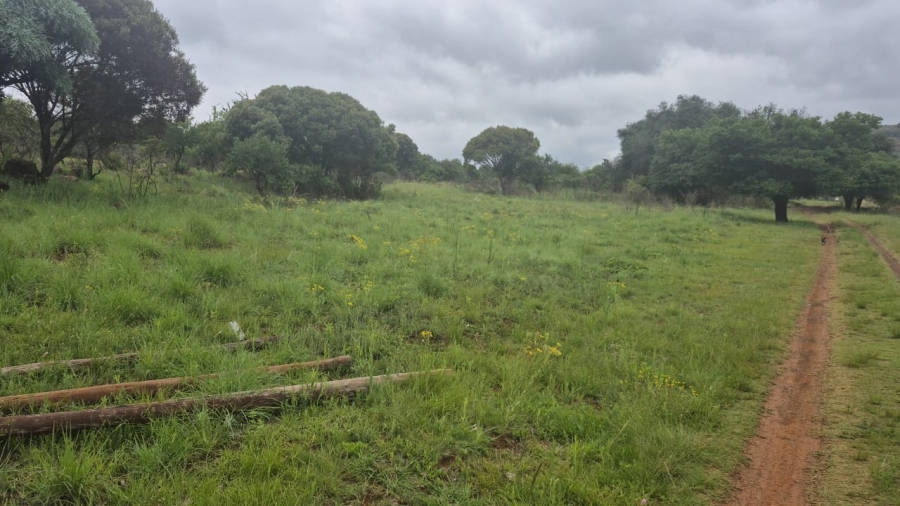 4 Bedroom Property for Sale in Roossenekal Limpopo