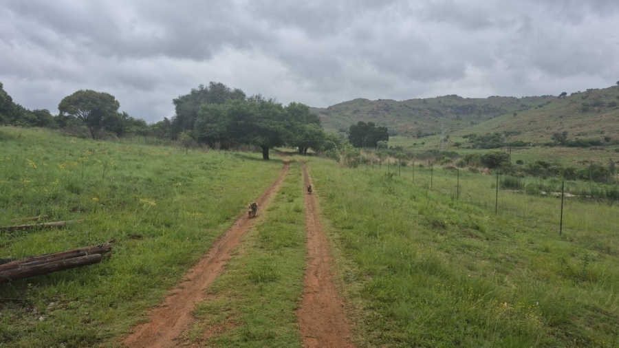 4 Bedroom Property for Sale in Roossenekal Limpopo