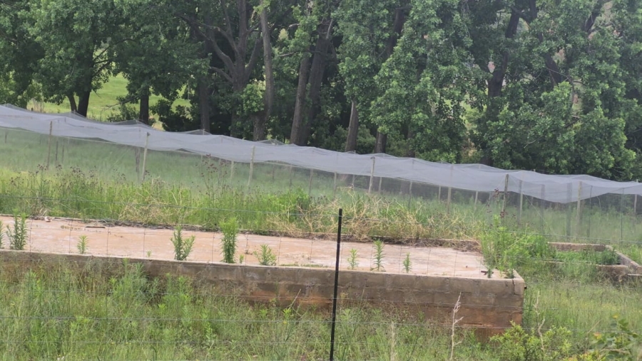 4 Bedroom Property for Sale in Roossenekal Limpopo