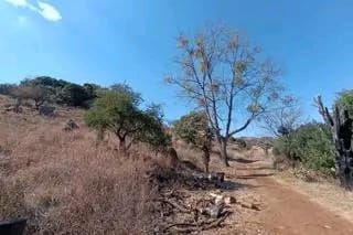 4 Bedroom Property for Sale in Roossenekal Limpopo