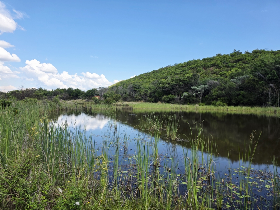 6 Bedroom Property for Sale in Modimolle Limpopo