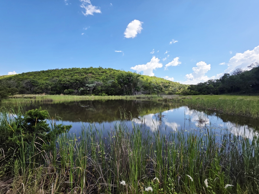 6 Bedroom Property for Sale in Modimolle Limpopo