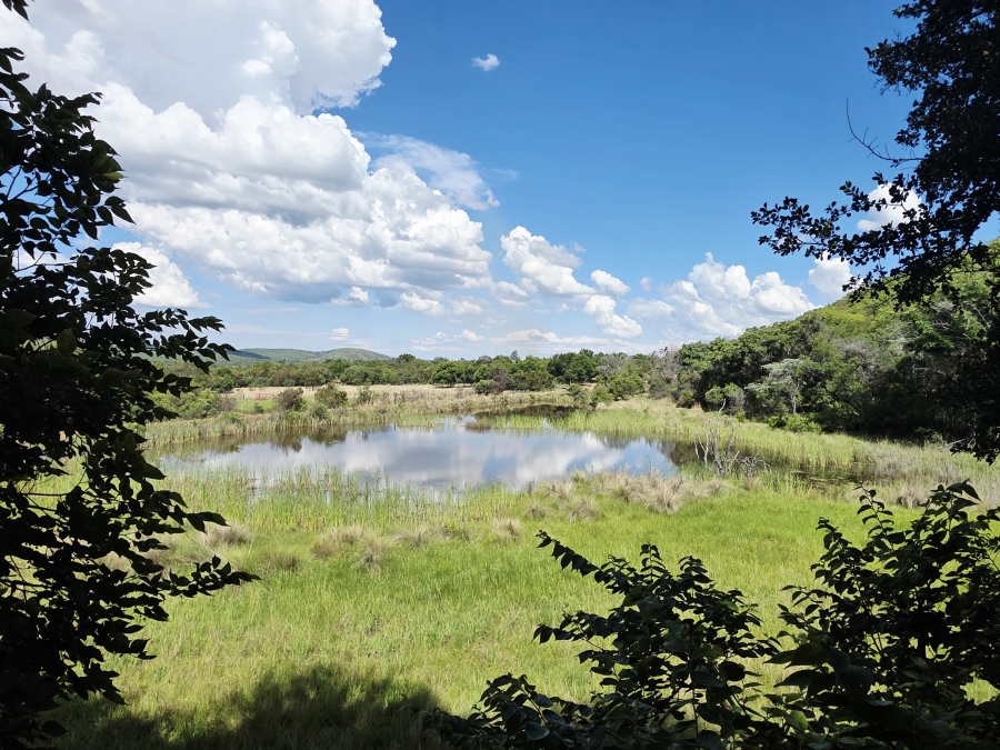 6 Bedroom Property for Sale in Modimolle Limpopo