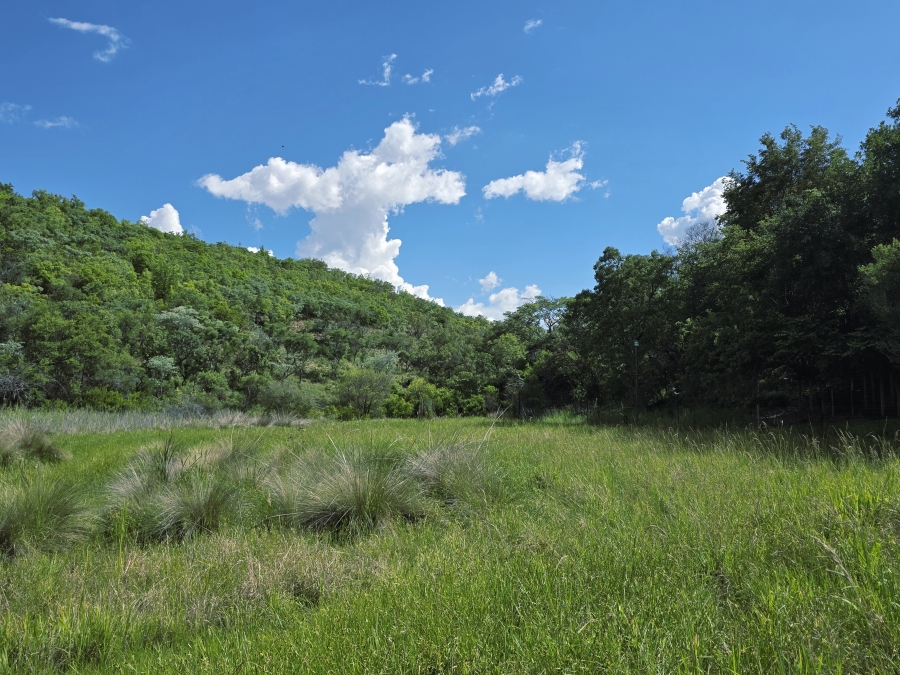 6 Bedroom Property for Sale in Modimolle Limpopo