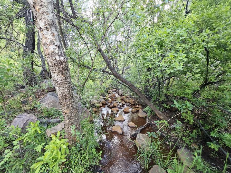 6 Bedroom Property for Sale in Modimolle Limpopo