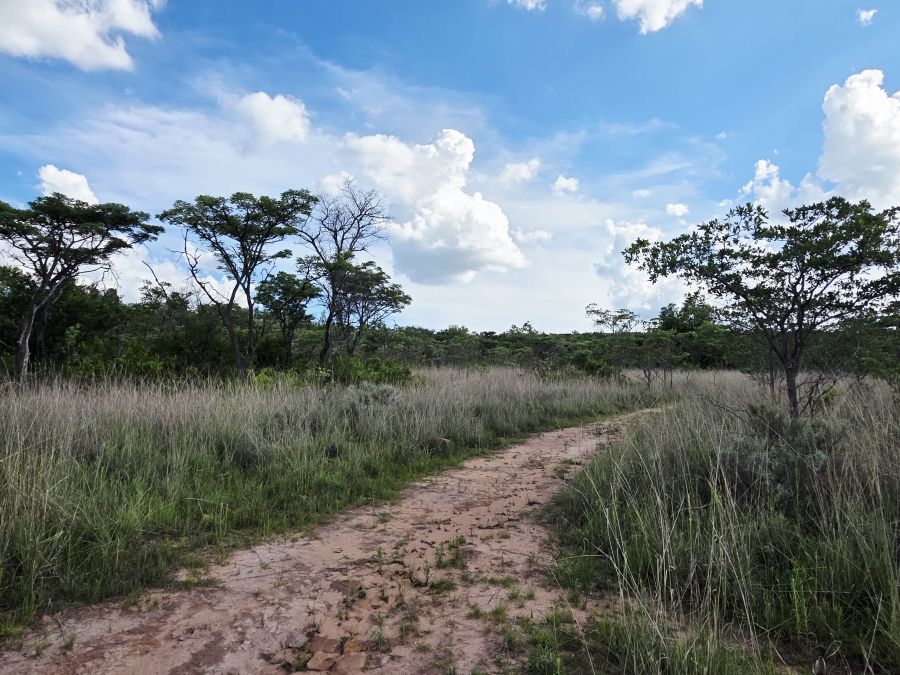 6 Bedroom Property for Sale in Modimolle Limpopo