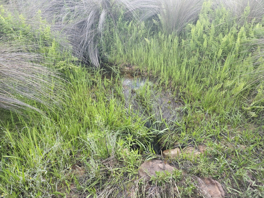 6 Bedroom Property for Sale in Modimolle Limpopo