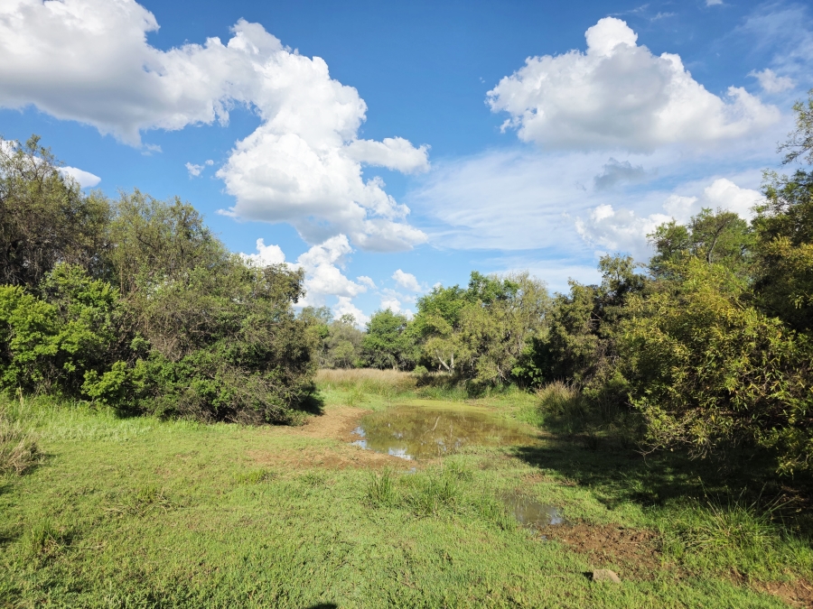 6 Bedroom Property for Sale in Modimolle Limpopo