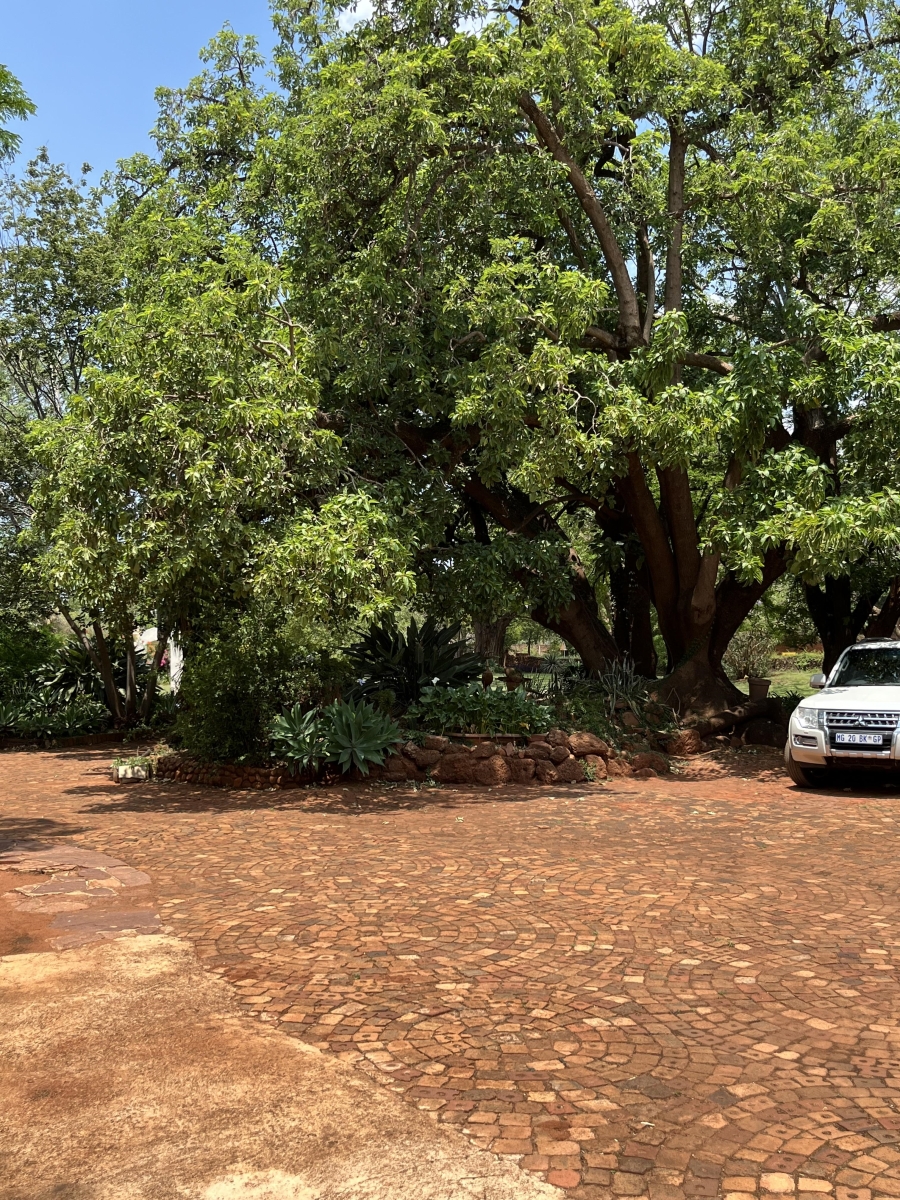 3 Bedroom Property for Sale in Mookgopong Limpopo