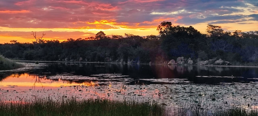 0 Bedroom Property for Sale in Vaalwater Limpopo