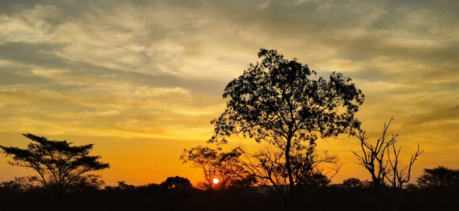 0 Bedroom Property for Sale in Vaalwater Limpopo