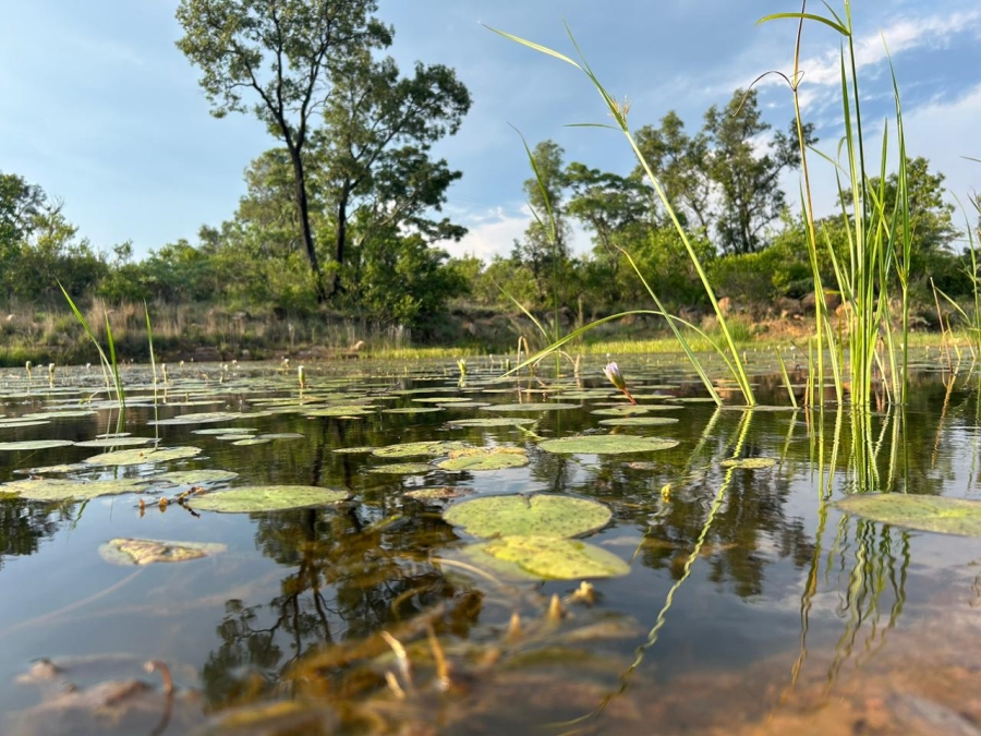 0 Bedroom Property for Sale in Vaalwater Limpopo