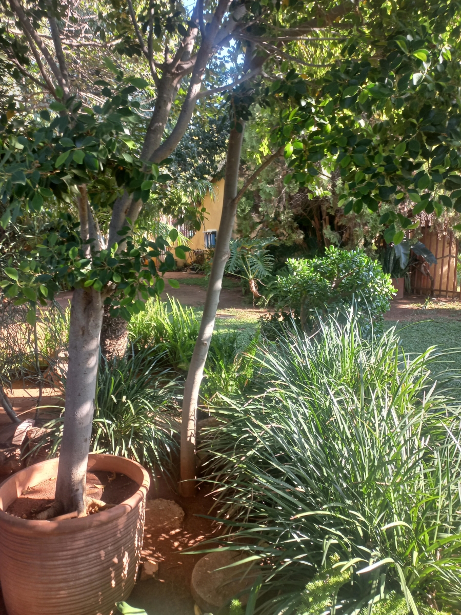 4 Bedroom Property for Sale in Flora Park Limpopo