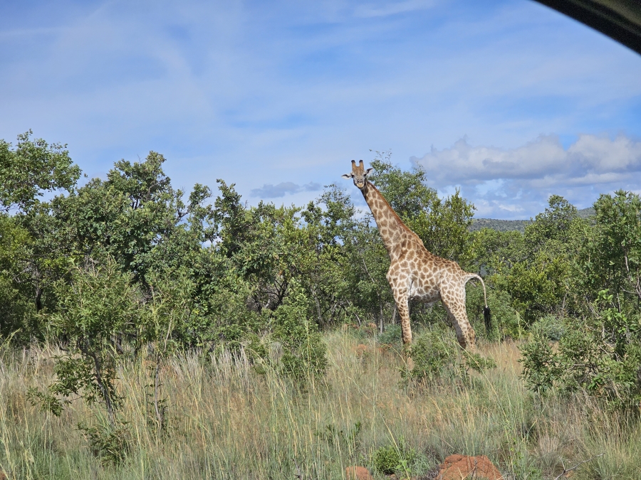 0 Bedroom Property for Sale in Bela Bela Limpopo