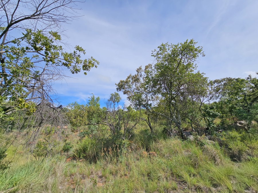 0 Bedroom Property for Sale in Bela Bela Limpopo