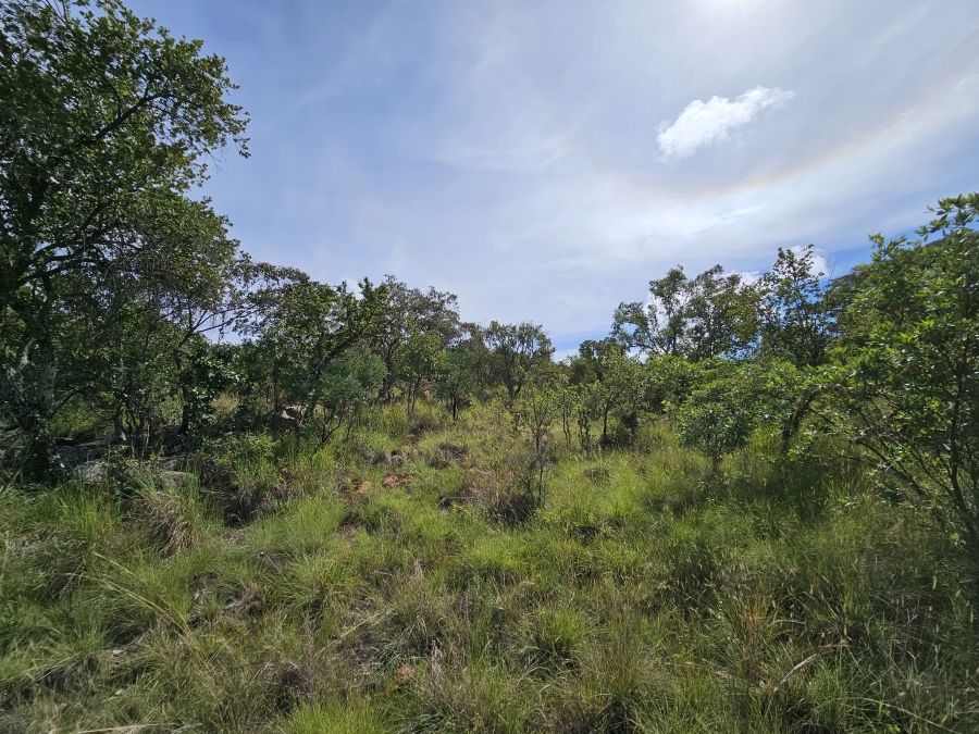 0 Bedroom Property for Sale in Bela Bela Limpopo