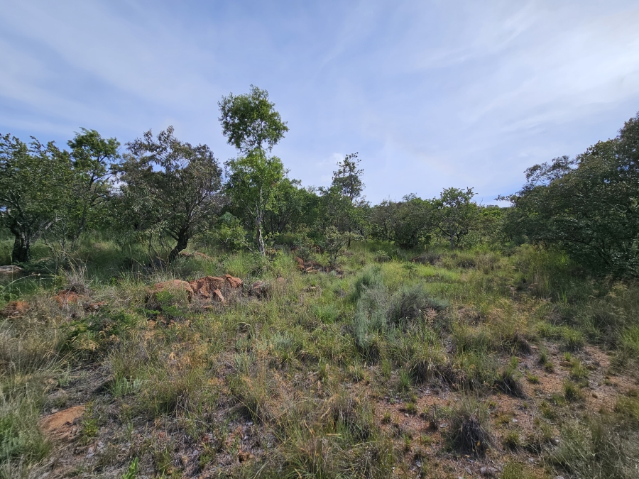 0 Bedroom Property for Sale in Bela Bela Limpopo