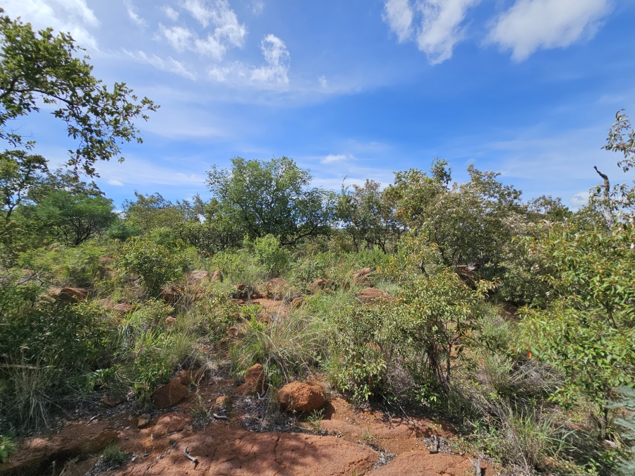 0 Bedroom Property for Sale in Bela Bela Limpopo