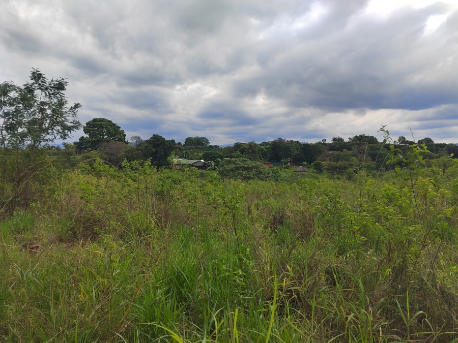 0 Bedroom Property for Sale in Tzaneen Rural Limpopo