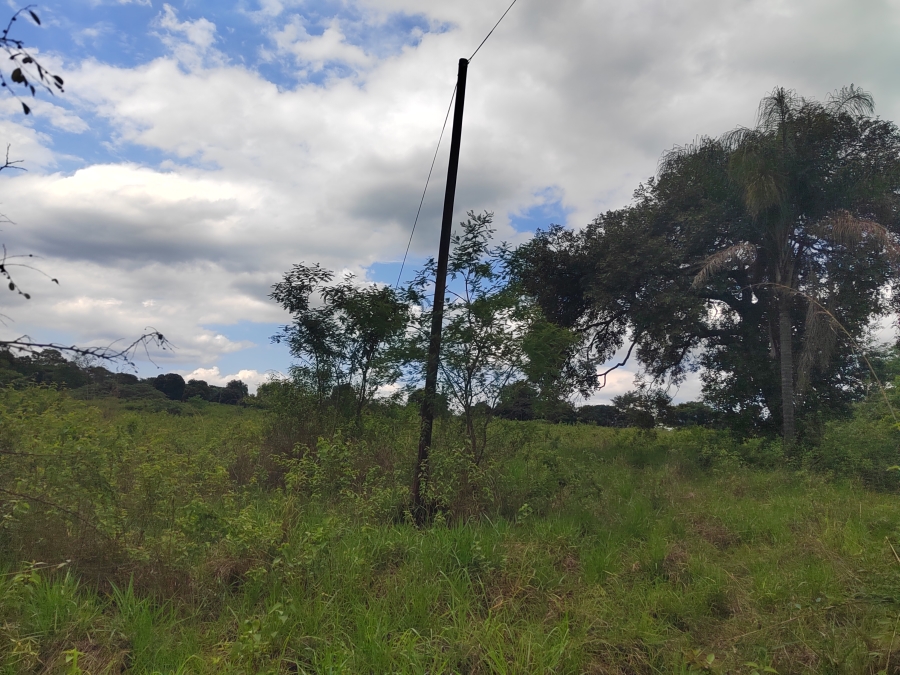 0 Bedroom Property for Sale in Tzaneen Rural Limpopo