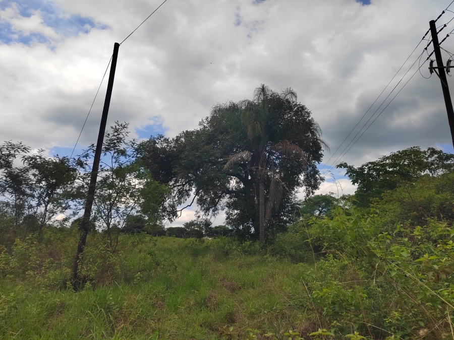 0 Bedroom Property for Sale in Tzaneen Rural Limpopo