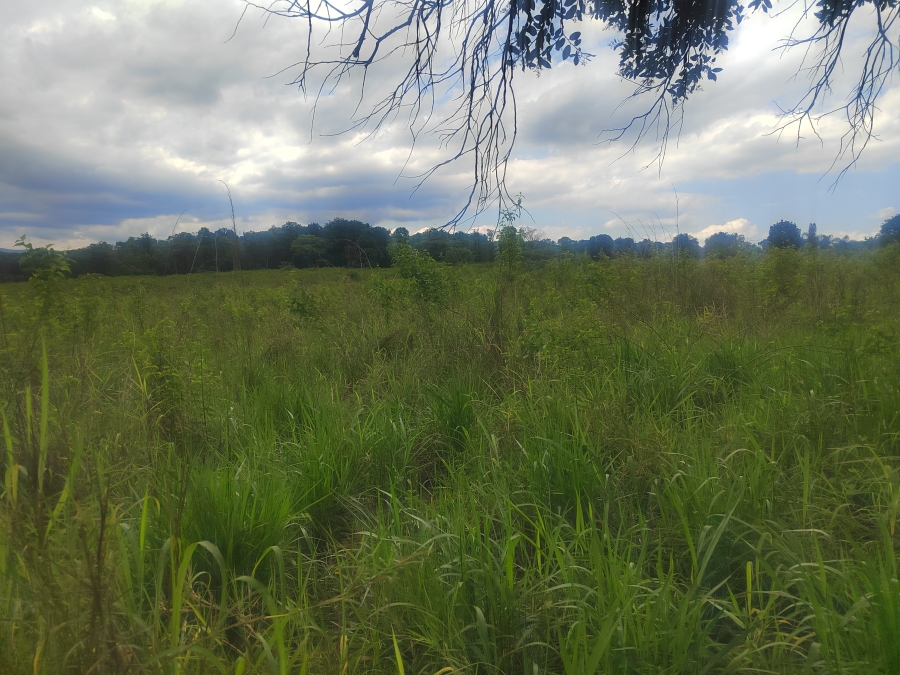 0 Bedroom Property for Sale in Tzaneen Rural Limpopo