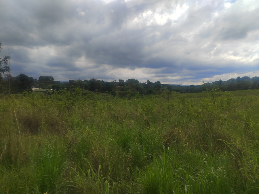 0 Bedroom Property for Sale in Tzaneen Rural Limpopo