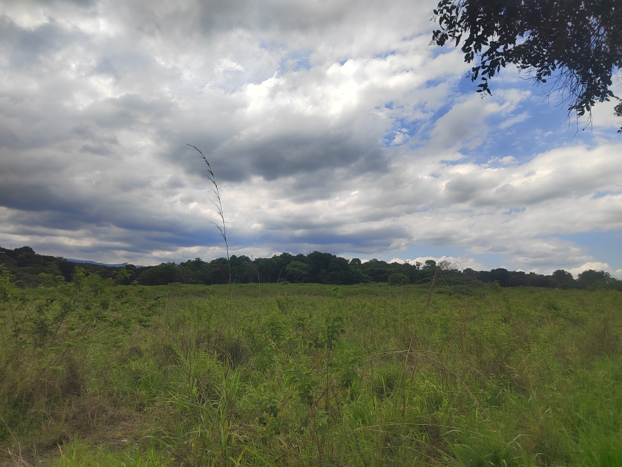 0 Bedroom Property for Sale in Tzaneen Rural Limpopo