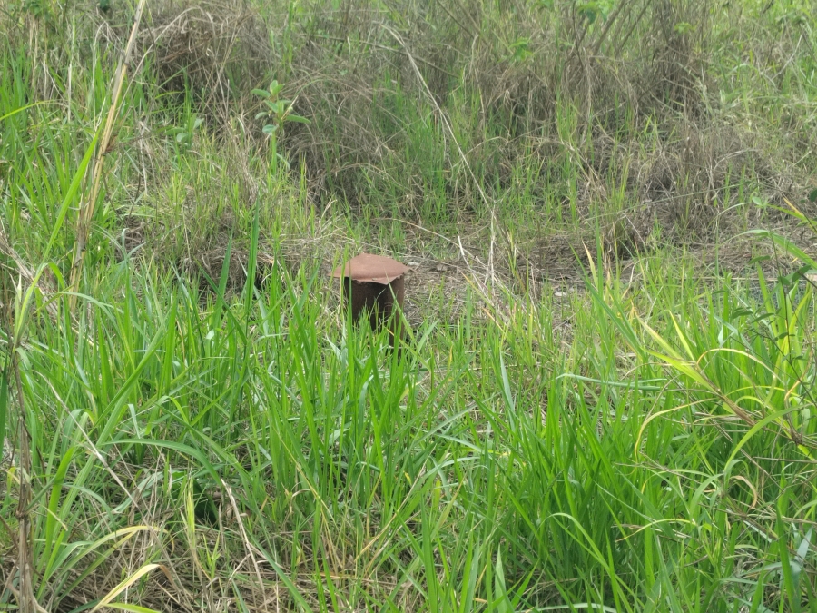 0 Bedroom Property for Sale in Tzaneen Rural Limpopo