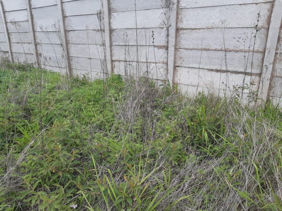 0 Bedroom Property for Sale in Magna Via Industrial Limpopo