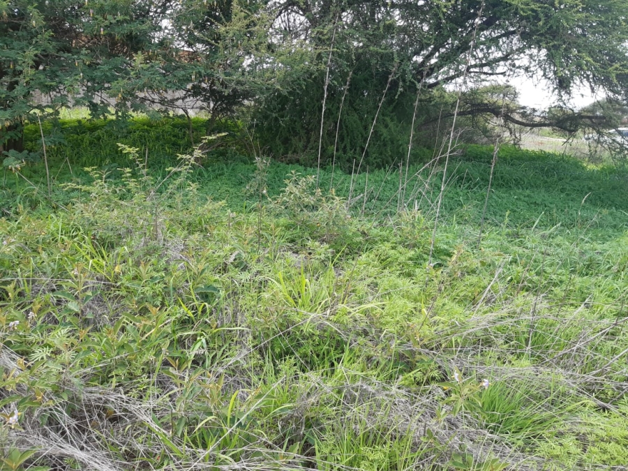 0 Bedroom Property for Sale in Magna Via Industrial Limpopo