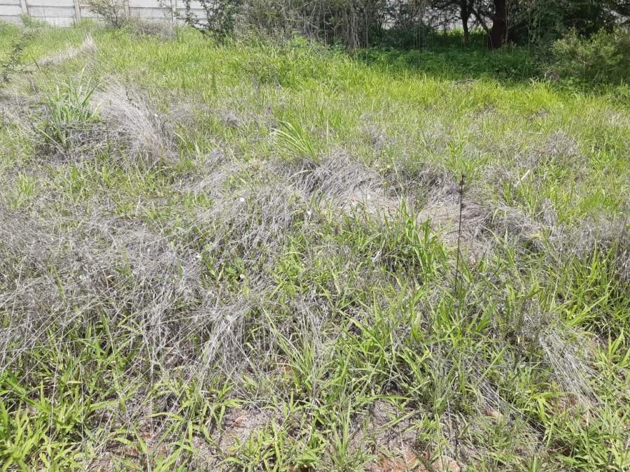 0 Bedroom Property for Sale in Magna Via Industrial Limpopo